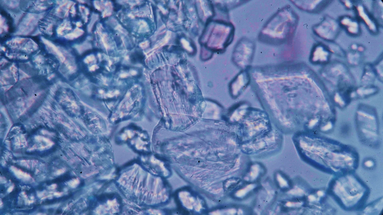 Gastro Broadcast Podcast: Dr. Weinstein & Dr. Rezaie Discuss mBIOTA Labs' Impact on Elemental Diet Compliance