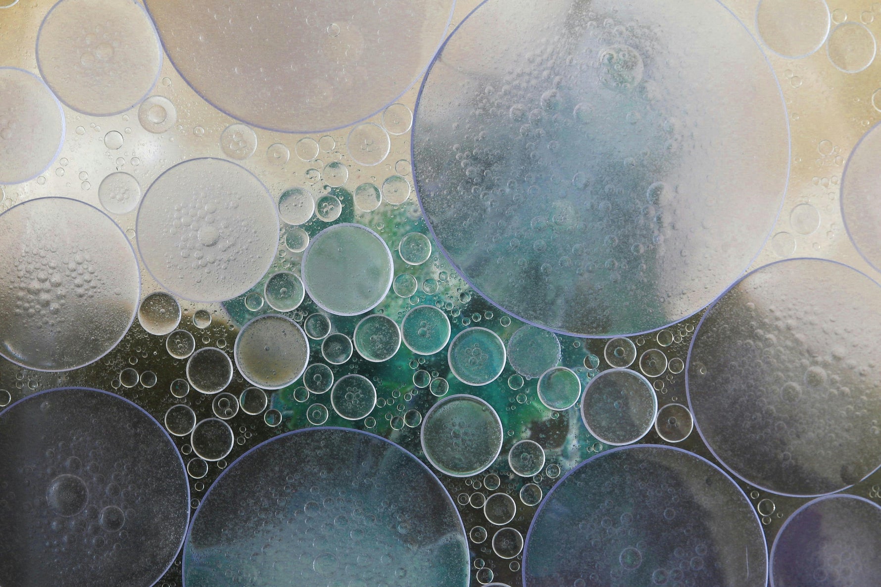 mBIOTA Labs Founder Krystyna Houser Discusses GI Health Solutions on the Empowered Patient Podcast